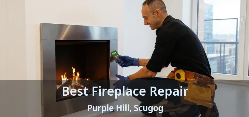 Best Fireplace Repair Purple Hill, Scugog - ON