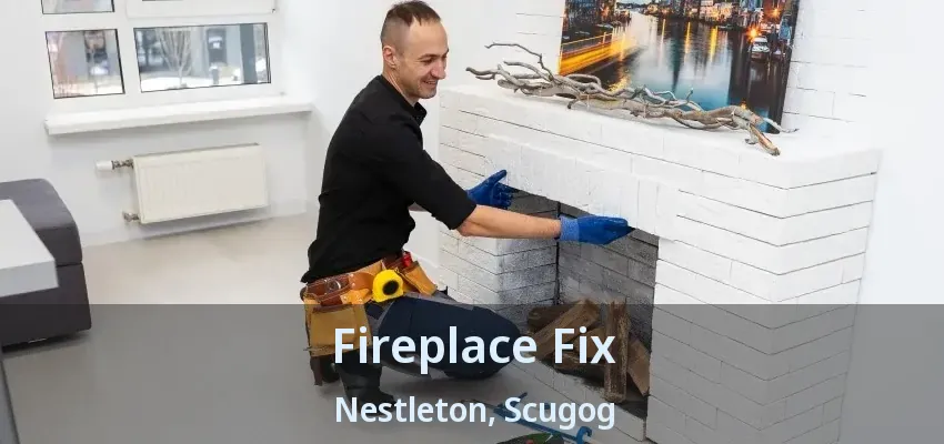 Fireplace Fix Nestleton, Scugog - ON Fireplace Fix Nestleton, Scugog - ON
