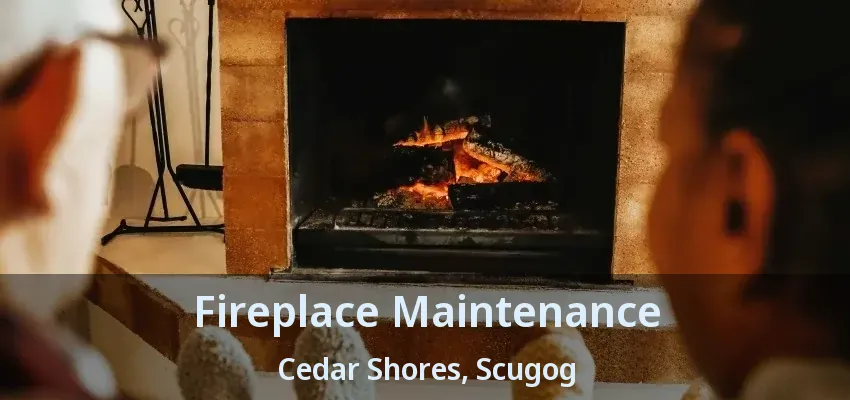 Fireplace Maintenance Cedar Shores, Scugog - ON Fireplace Maintenance Cedar Shores, Scugog - ON