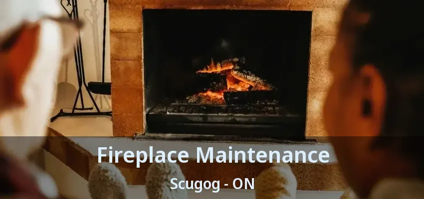 Fireplace Maintenance Scugog - ON Fireplace Maintenance Scugog - ON