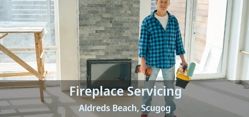 Fireplace Servicing Aldreds Beach, Scugog - ON Fireplace Servicing Aldreds Beach, Scugog - ON