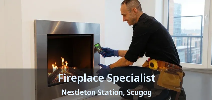 Fireplace Specialist Nestleton Station, Scugog - ON