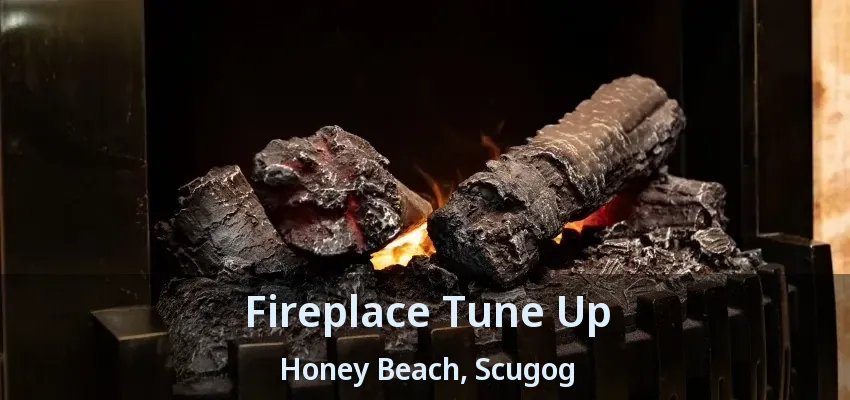 Fireplace Tune Up Honey Beach, Scugog - ON Fireplace Tune Up Honey Beach, Scugog - ON