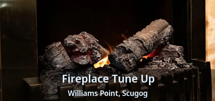 Fireplace Tune Up Williams Point, Scugog - ON Fireplace Tune Up Williams Point, Scugog - ON
