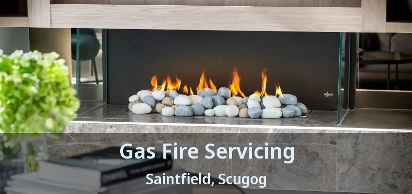 Gas Fire Servicing Saintfield, Scugog - ON