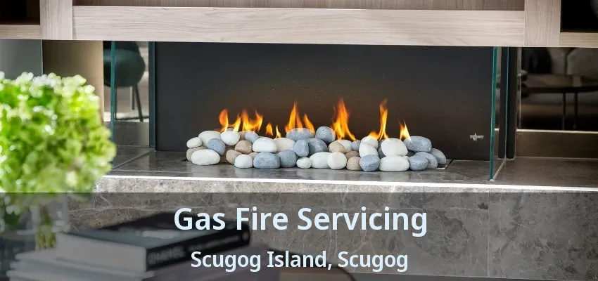 Gas Fire Servicing Scugog Island, Scugog - ON Gas Fire Servicing Scugog Island, Scugog - ON