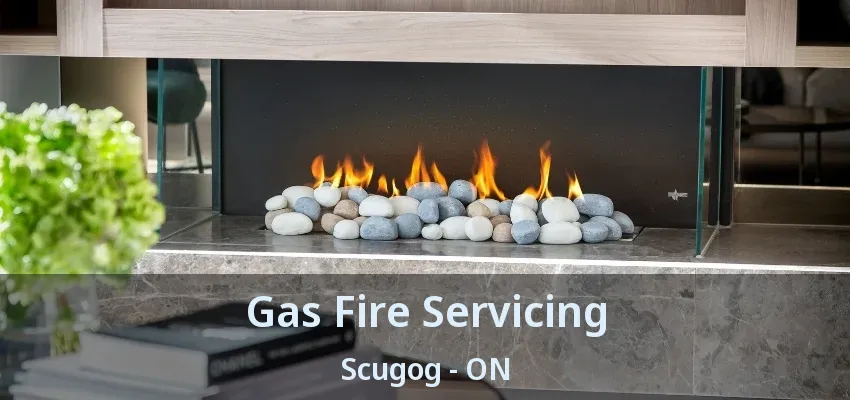 Gas Fire Servicing Scugog - ON