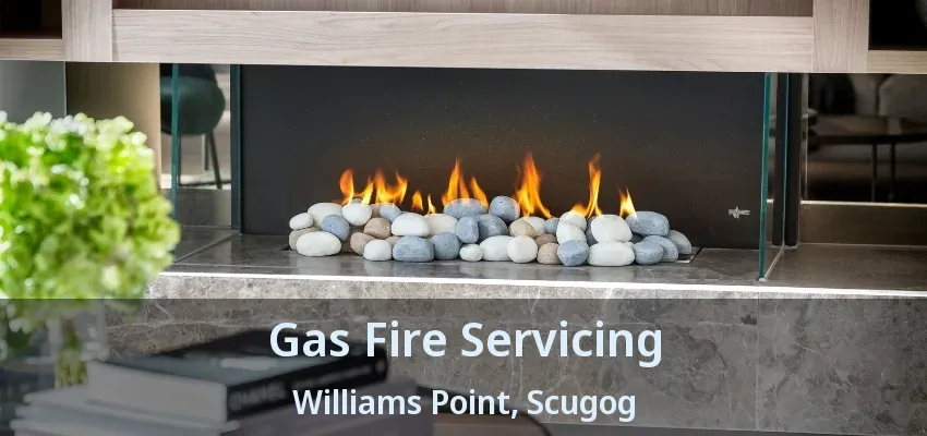 Gas Fire Servicing Williams Point, Scugog - ON Gas Fire Servicing Williams Point, Scugog - ON
