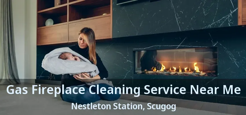 Gas Fireplace Cleaning Service Near Me Nestleton Station, Scugog - ON