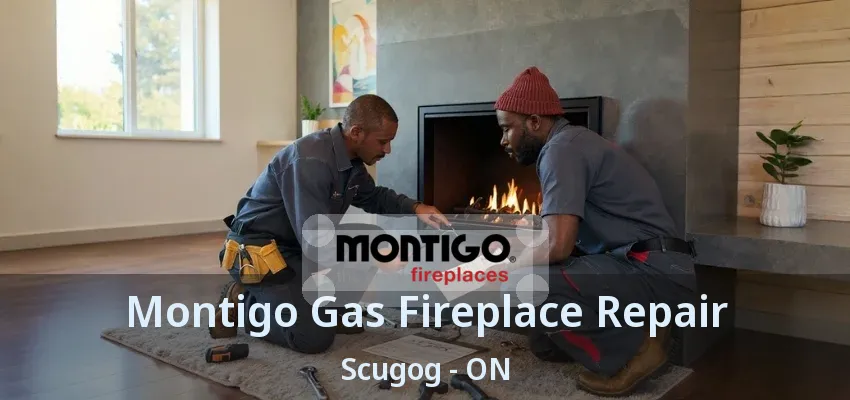 Montigo Gas Fireplace Repair Scugog - ON Montigo Gas Fireplace Repair Scugog - ON