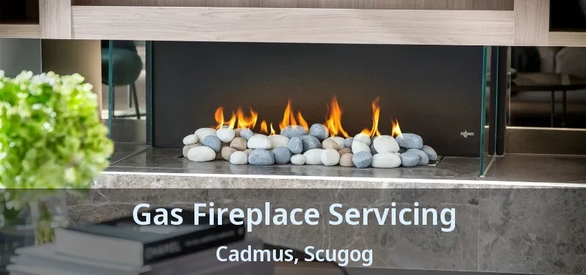 Gas Fireplace Servicing Cadmus, Scugog - ON Gas Fireplace Servicing Cadmus, Scugog - ON