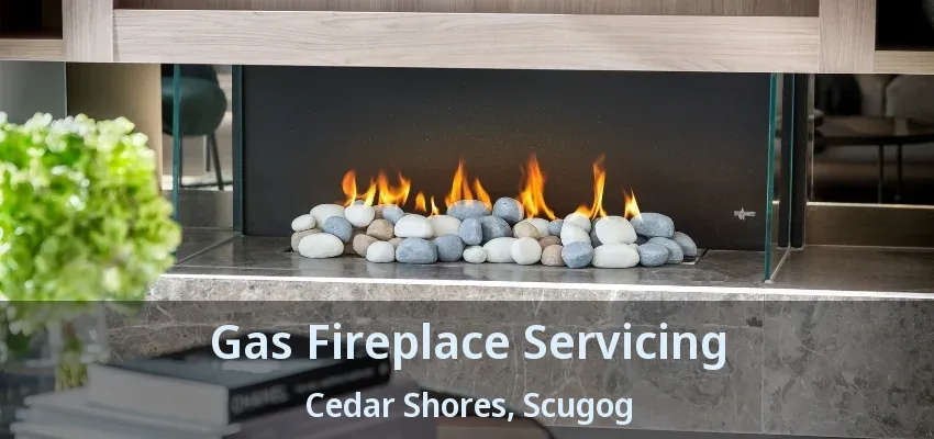 Gas Fireplace Servicing Cedar Shores, Scugog - ON Gas Fireplace Servicing Cedar Shores, Scugog - ON