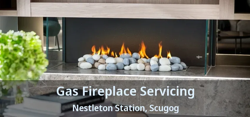 Gas Fireplace Servicing Nestleton Station, Scugog - ON Gas Fireplace Servicing Nestleton Station, Scugog - ON
