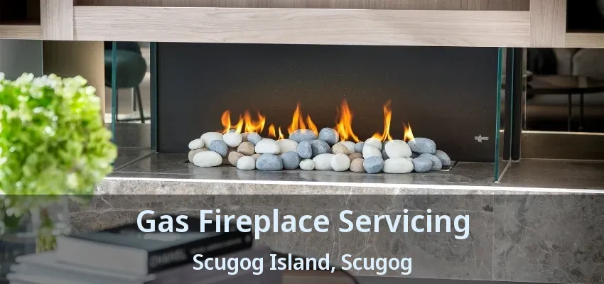 Gas Fireplace Servicing Scugog Island, Scugog - ON Gas Fireplace Servicing Scugog Island, Scugog - ON