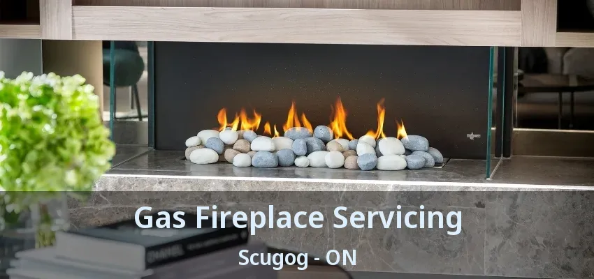 Gas Fireplace Servicing Scugog - ON Gas Fireplace Servicing Scugog - ON