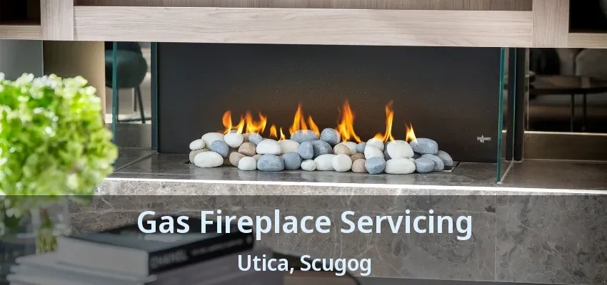 Gas Fireplace Servicing Utica, Scugog - ON