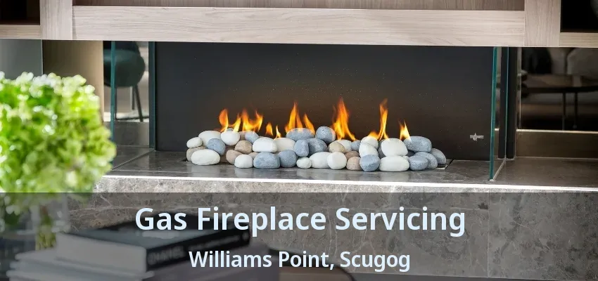 Gas Fireplace Servicing Williams Point, Scugog - ON Gas Fireplace Servicing Williams Point, Scugog - ON