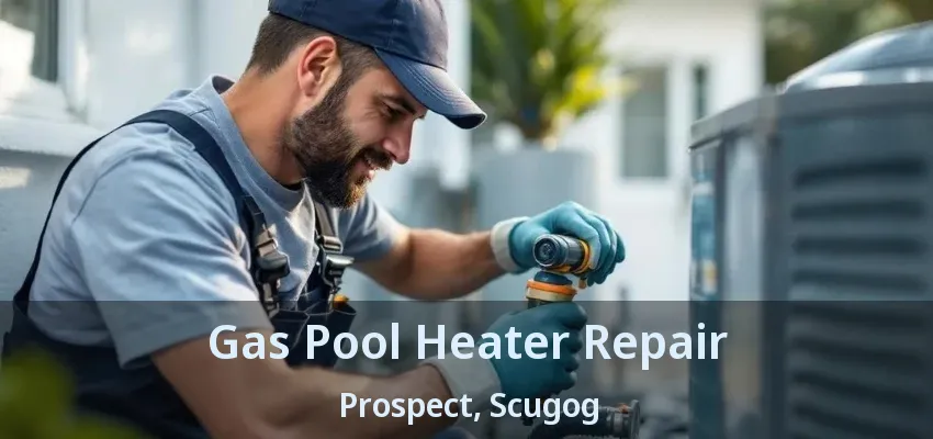 Gas Pool Heater Repair Prospect, Scugog - ON