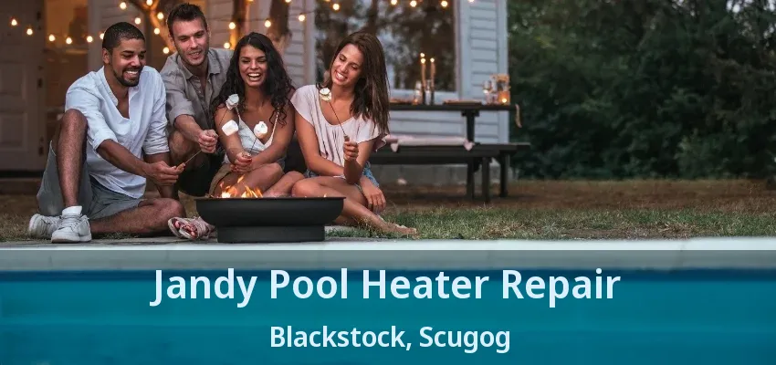 Jandy Pool Heater Repair Blackstock, Scugog - ON Jandy Pool Heater Repair Blackstock, Scugog - ON