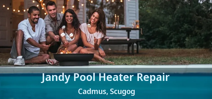 Jandy Pool Heater Repair Cadmus, Scugog - ON Jandy Pool Heater Repair Cadmus, Scugog - ON