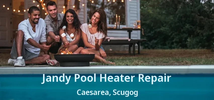 Jandy Pool Heater Repair Caesarea, Scugog - ON