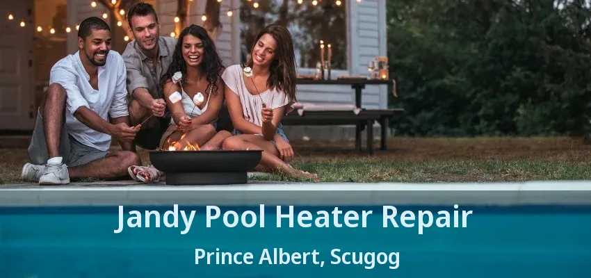 Jandy Pool Heater Repair Prince Albert, Scugog - ON