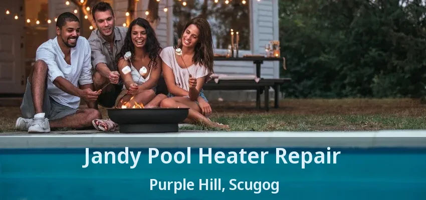 Jandy Pool Heater Repair Purple Hill, Scugog - ON