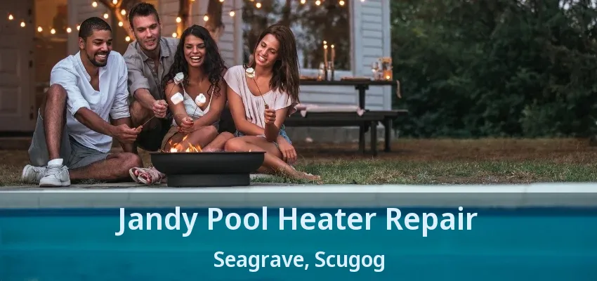 Jandy Pool Heater Repair Seagrave, Scugog - ON