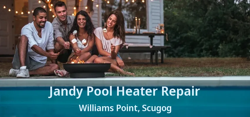 Jandy Pool Heater Repair Williams Point, Scugog - ON Jandy Pool Heater Repair Williams Point, Scugog - ON