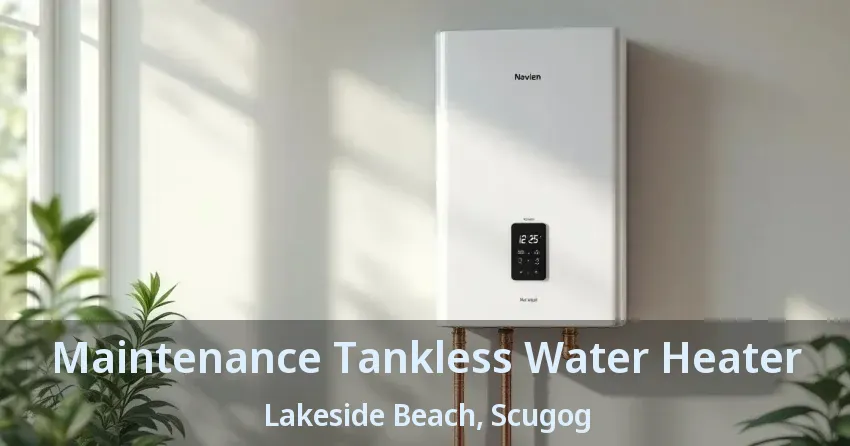 Maintenance Tankless Water Heater Lakeside Beach, Scugog - ON Maintenance Tankless Water Heater Lakeside Beach, Scugog - ON