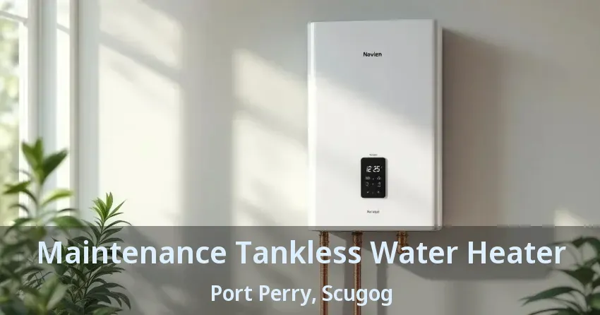 Maintenance Tankless Water Heater Port Perry, Scugog - ON Maintenance Tankless Water Heater Port Perry, Scugog - ON