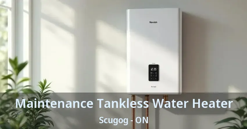 Maintenance Tankless Water Heater Scugog - ON Maintenance Tankless Water Heater Scugog - ON