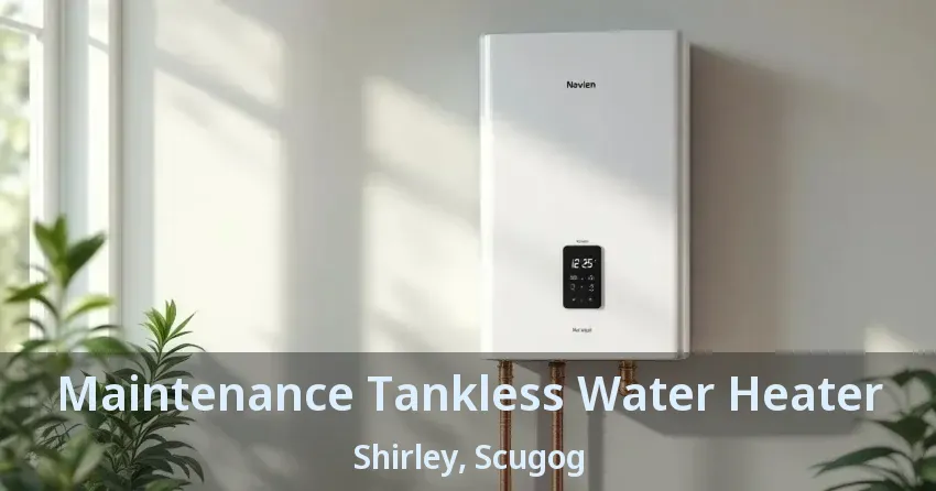 Maintenance Tankless Water Heater Shirley, Scugog - ON Maintenance Tankless Water Heater Shirley, Scugog - ON