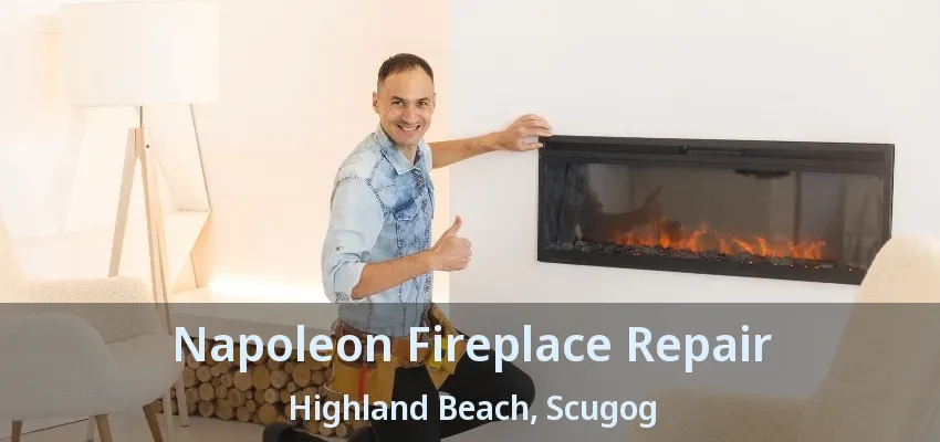 Napoleon Fireplace Repair Highland Beach, Scugog - ON Napoleon Fireplace Repair Highland Beach, Scugog - ON