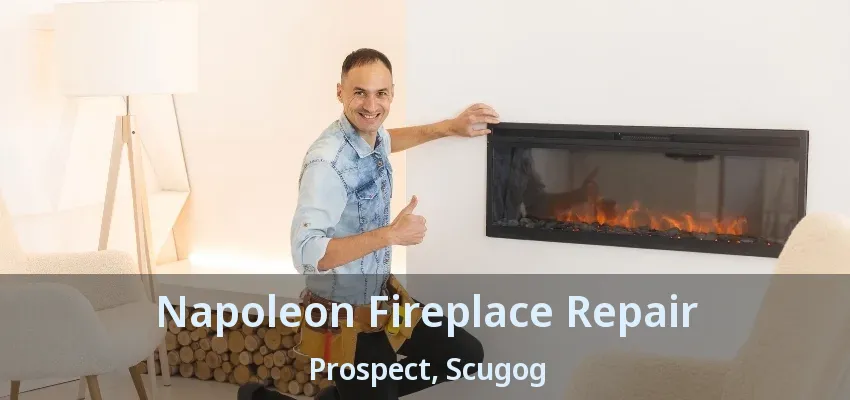 Napoleon Fireplace Repair Prospect, Scugog - ON Napoleon Fireplace Repair Prospect, Scugog - ON