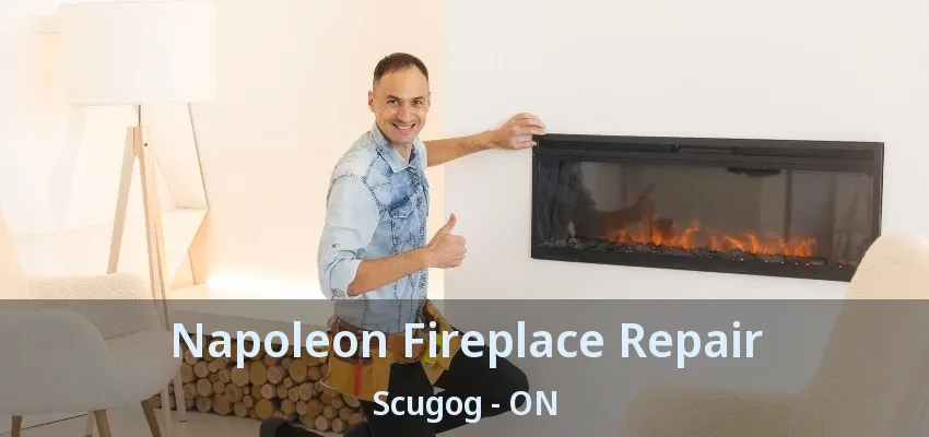 Napoleon Fireplace Repair Scugog - ON Napoleon Fireplace Repair Scugog - ON