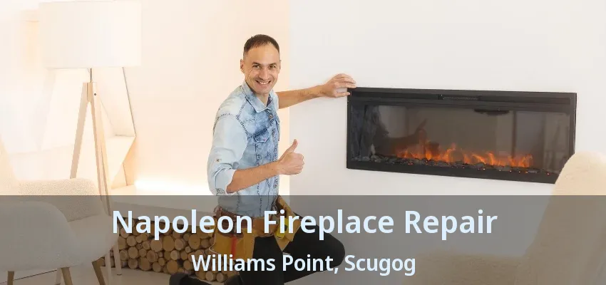 Napoleon Fireplace Repair Williams Point, Scugog - ON Napoleon Fireplace Repair Williams Point, Scugog - ON