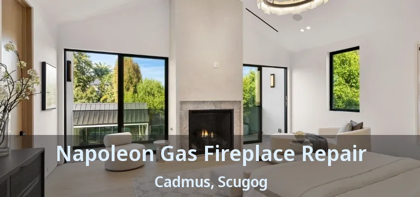 Napoleon Gas Fireplace Repair Cadmus, Scugog - ON Napoleon Gas Fireplace Repair Cadmus, Scugog - ON