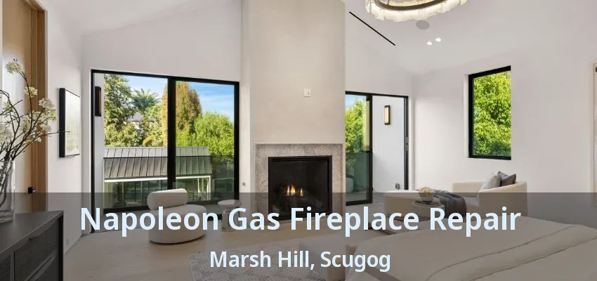Napoleon Gas Fireplace Repair Marsh Hill, Scugog - ON Napoleon Gas Fireplace Repair Marsh Hill, Scugog - ON