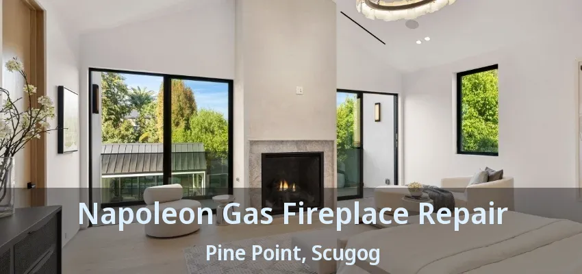 Napoleon Gas Fireplace Repair Pine Point, Scugog - ON