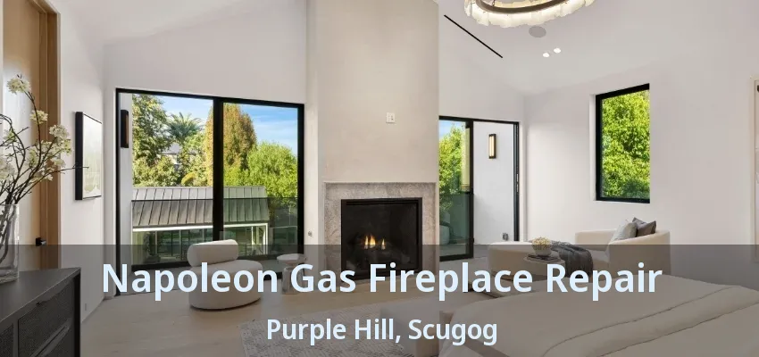 Napoleon Gas Fireplace Repair Purple Hill, Scugog - ON