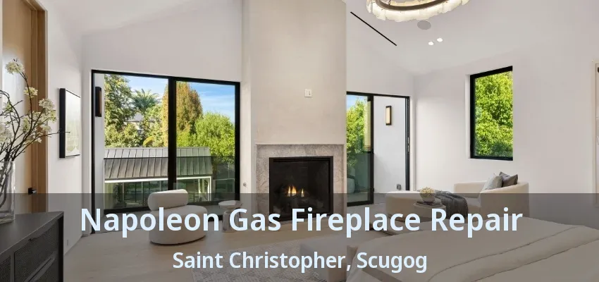 Napoleon Gas Fireplace Repair Saint Christopher, Scugog - ON