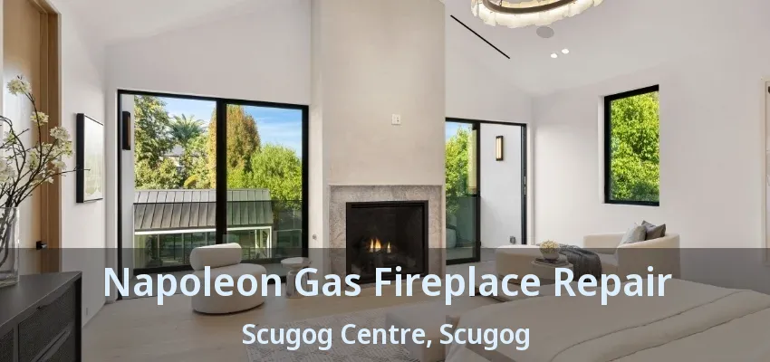 Napoleon Gas Fireplace Repair Scugog Centre, Scugog - ON Napoleon Gas Fireplace Repair Scugog Centre, Scugog - ON