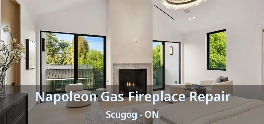 Napoleon Gas Fireplace Repair Scugog - ON Napoleon Gas Fireplace Repair Scugog - ON