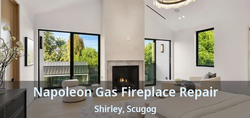 Napoleon Gas Fireplace Repair Shirley, Scugog - ON Napoleon Gas Fireplace Repair Shirley, Scugog - ON