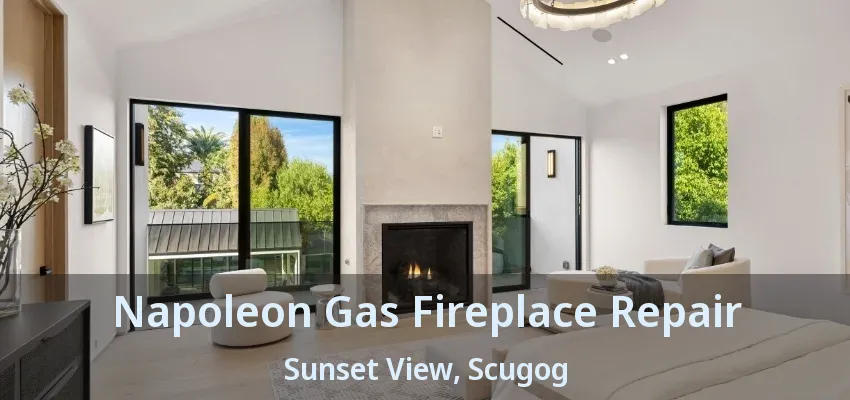 Napoleon Gas Fireplace Repair Sunset View, Scugog - ON Napoleon Gas Fireplace Repair Sunset View, Scugog - ON