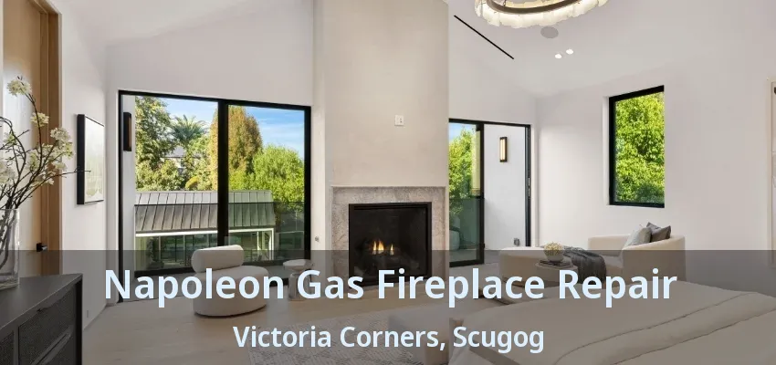 Napoleon Gas Fireplace Repair Victoria Corners, Scugog - ON Napoleon Gas Fireplace Repair Victoria Corners, Scugog - ON