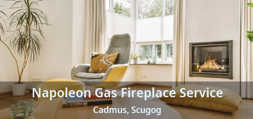 Napoleon Gas Fireplace Service Cadmus, Scugog - ON Napoleon Gas Fireplace Service Cadmus, Scugog - ON