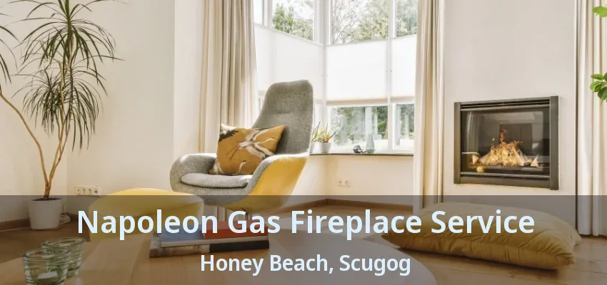 Napoleon Gas Fireplace Service Honey Beach, Scugog - ON