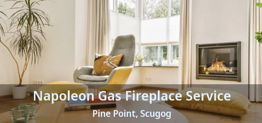 Napoleon Gas Fireplace Service Pine Point, Scugog - ON